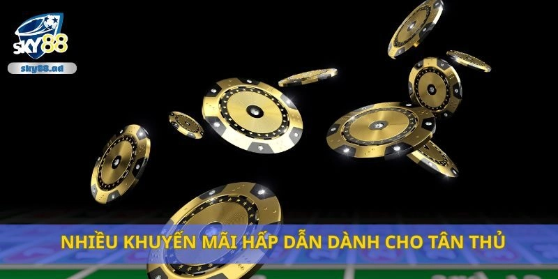 Nhiều khuyến mãi hấp dẫn dành cho tân thủ