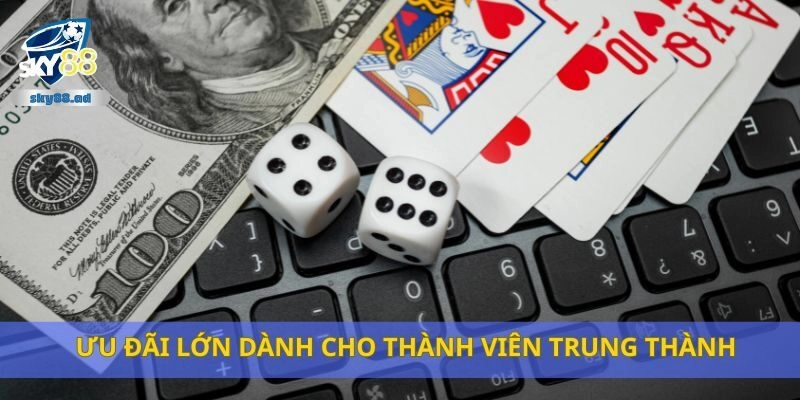 Ưu đãi lớn dành cho thành viên trung thành