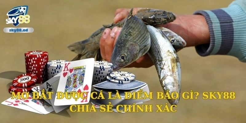 Mơ bắt được cá là điềm báo gì? Sky88 chia sẻ chính xác