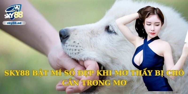 Sky88 bật mí số đẹp khi mơ thấy bị chó cắn trong mơ