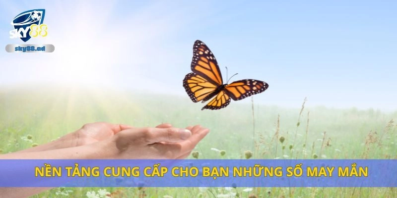 Nền tảng cung cấp cho bạn những số may mắn