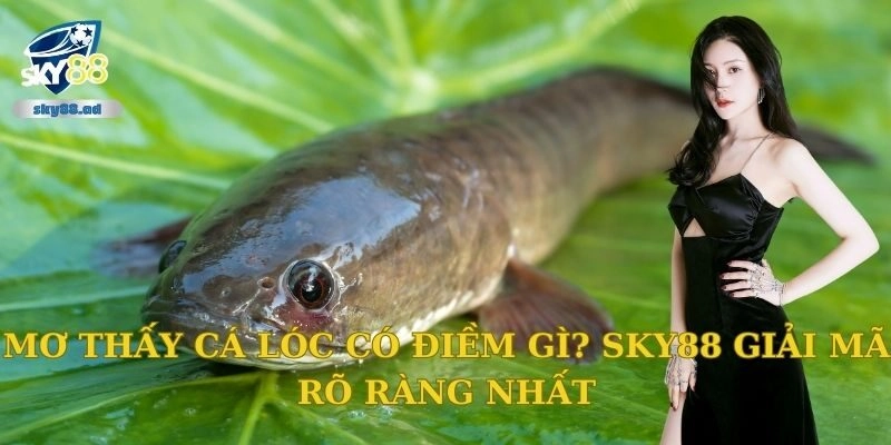 Mơ thấy cá lóc có điềm gì? Sky88 giải mã rõ ràng nhất
