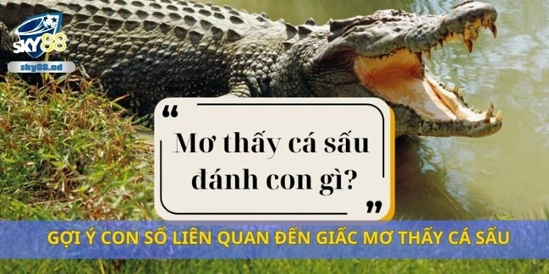 Gợi ý con số liên quan đến giấc mơ thấy cá sấu