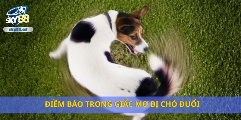 Điềm báo trong giấc mơ bị chó đuổi