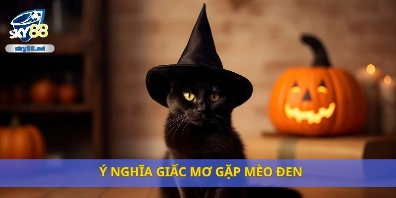 Ý nghĩa giấc mơ gặp mèo đen