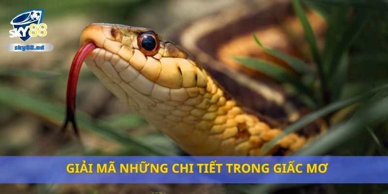 Giải mã những chi tiết trong giấc mơ