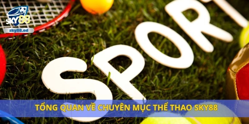 Tổng quan về chuyên mục thể thao Sky88