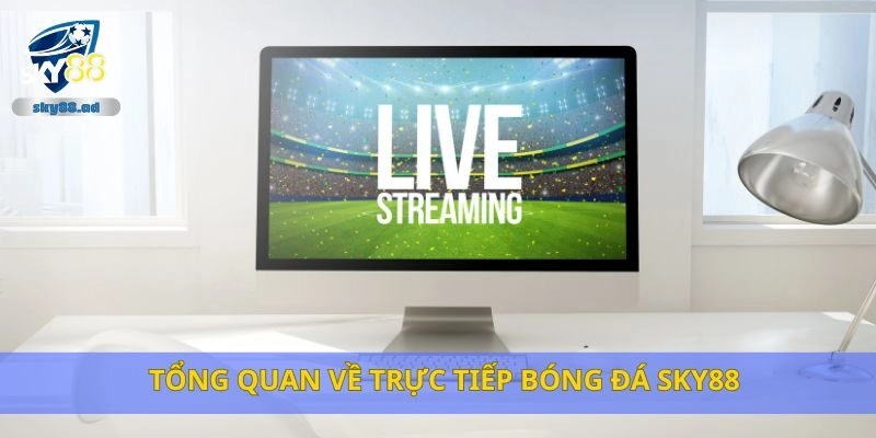 Tổng quan về trực tiếp bóng đá Sky88